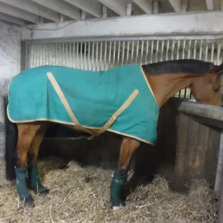 La Carbonniere Bed & Breakfast