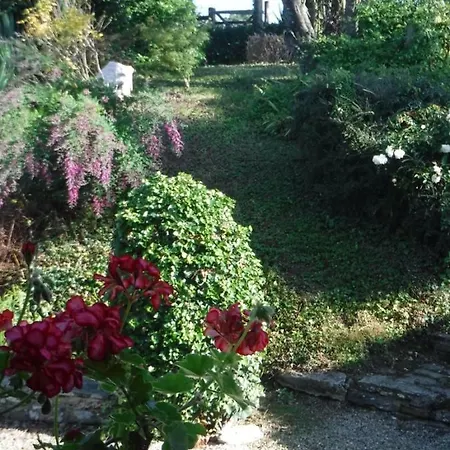 Bed & Breakfast La Carbonniere